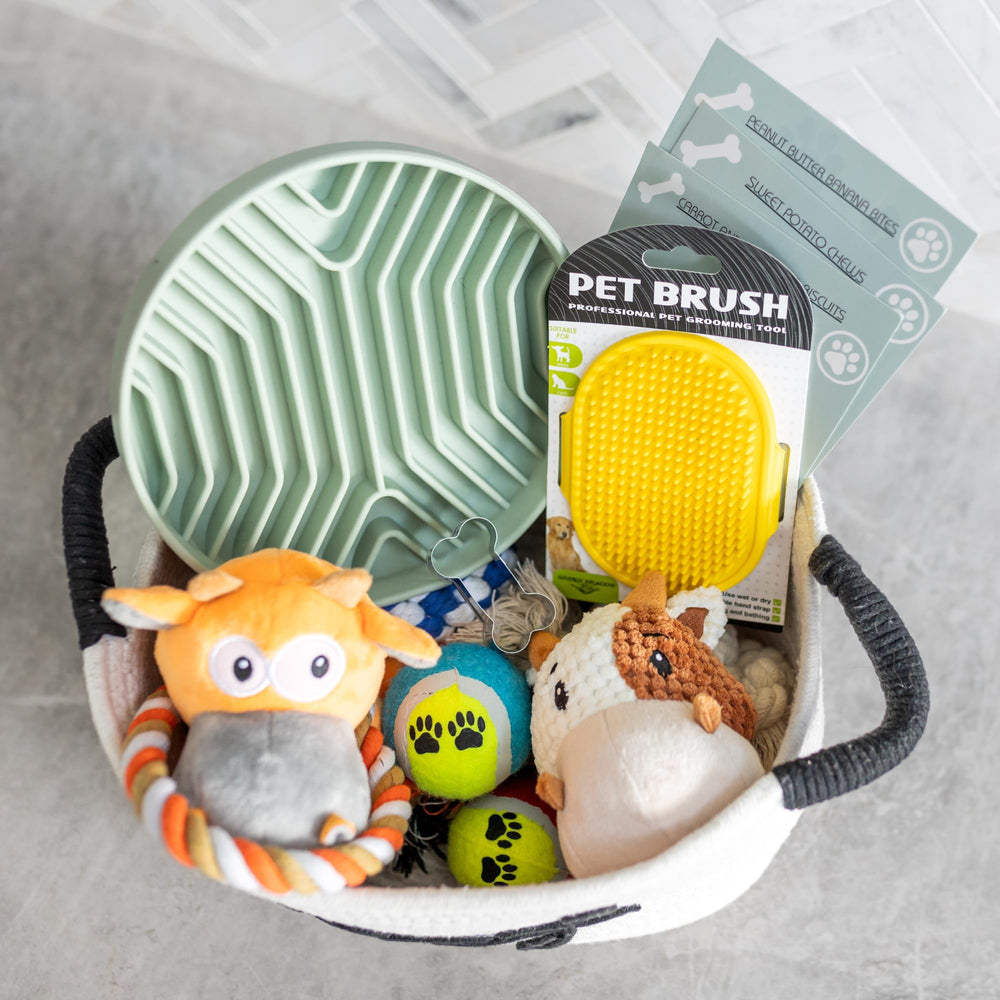 Paws For Reaction gros plan peluche non toxique montrant texture sûre pour mâcher