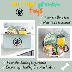 Paws For Reaction deux peluches couinantes pour stimulation ludique