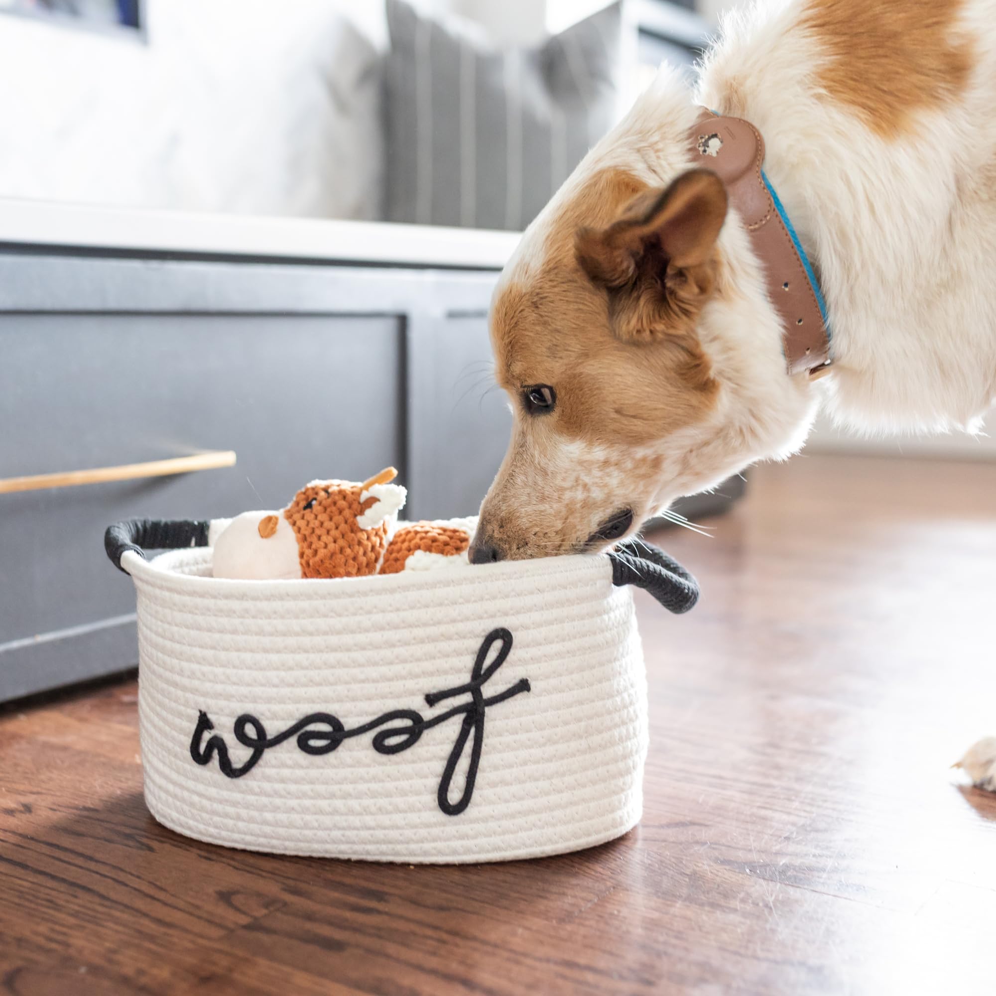 Paws For Reaction panier tressé montrant dimensions et rangement pratique