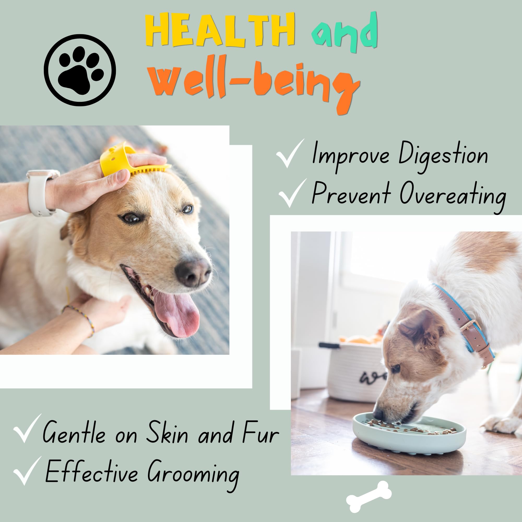 Paws For Reaction trois balles assorties pour activité physique