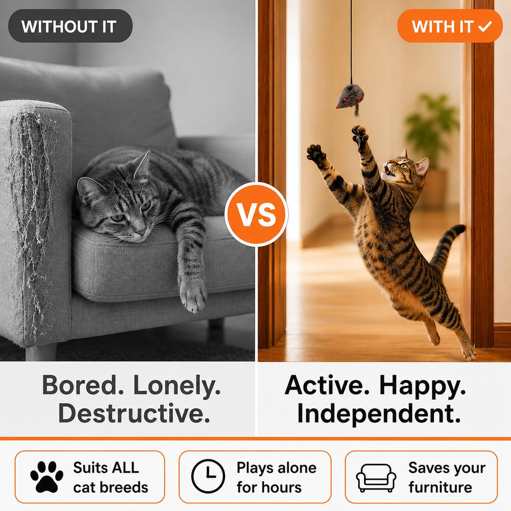 Paws Power composants du pack étendu, pièces interchangeables pour diversité