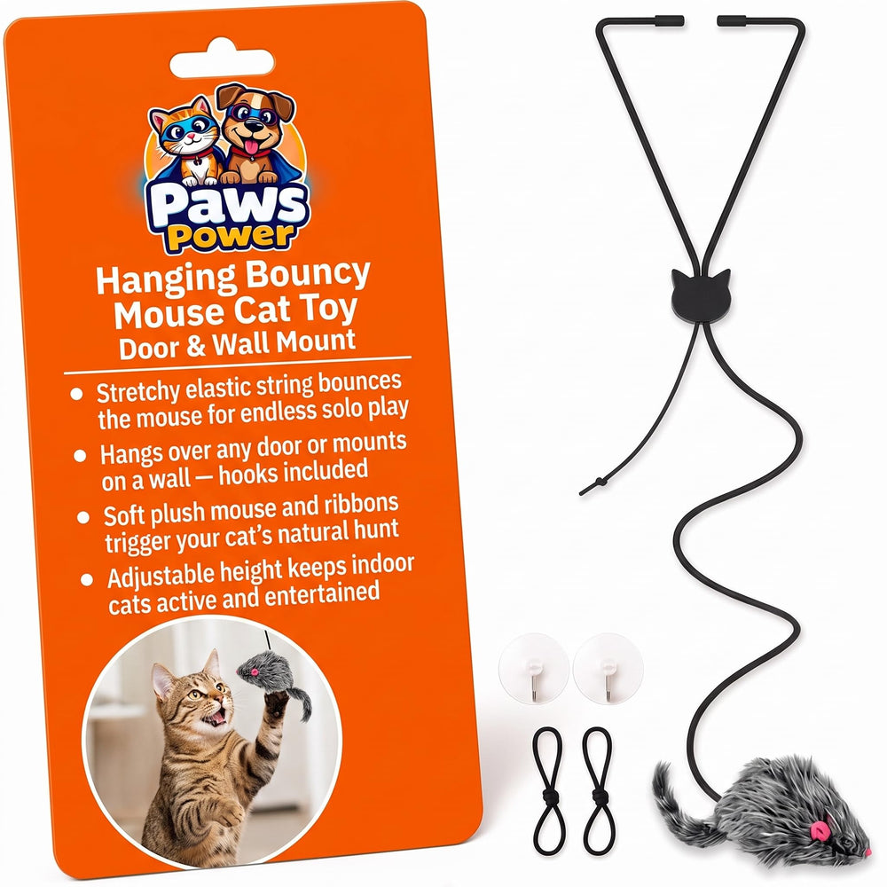 Paws Power vue avant du jouet suspendu montrant la souris et la pince, stimulation garantie
