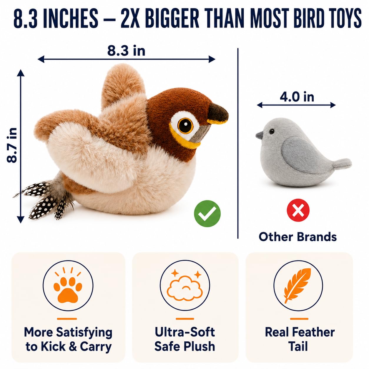 Paws Power comparaison taille montrant dimensions et prise confortable pour chat