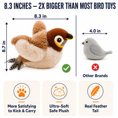 Paws Power comparaison taille montrant dimensions et prise confortable pour chat