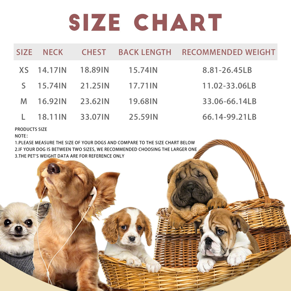 PawSailor taille L posée sur table pour évaluer proportions