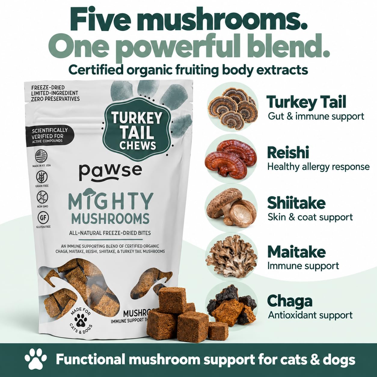 Pawse assortiment de champignons pour montrer ingrédients naturels