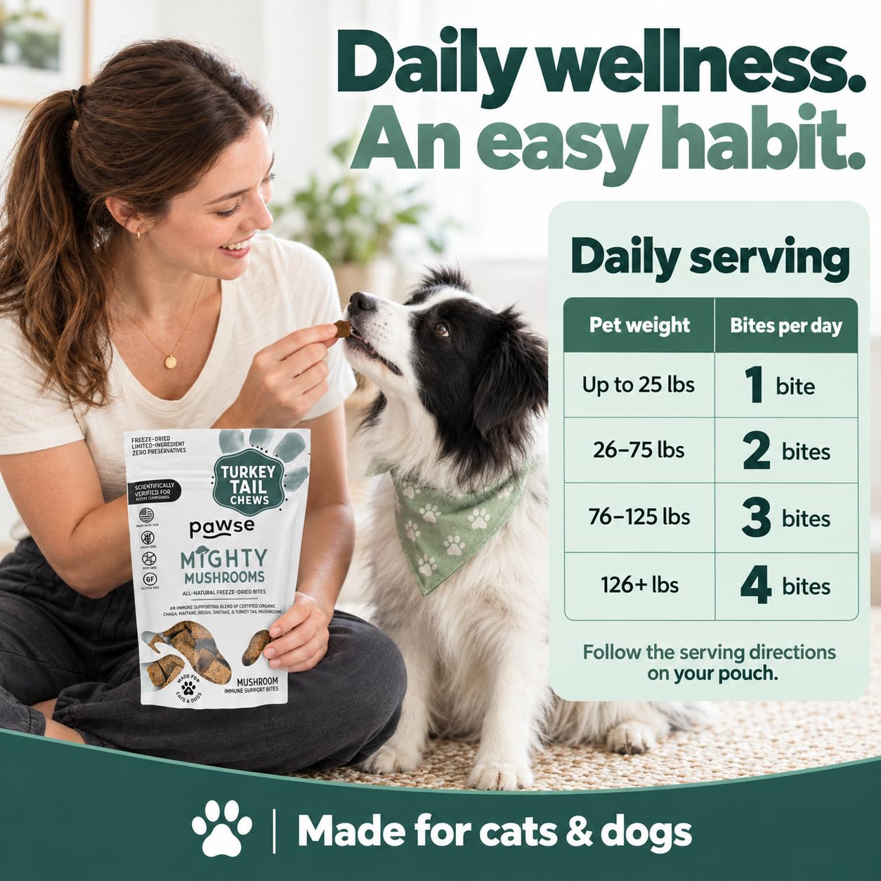 Pawse chien senior en contexte lifestyle montrant vitalité et confort