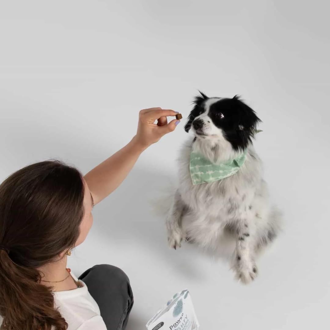 Pawse gros plan d'un cube montrant texture et conservation des nutriments