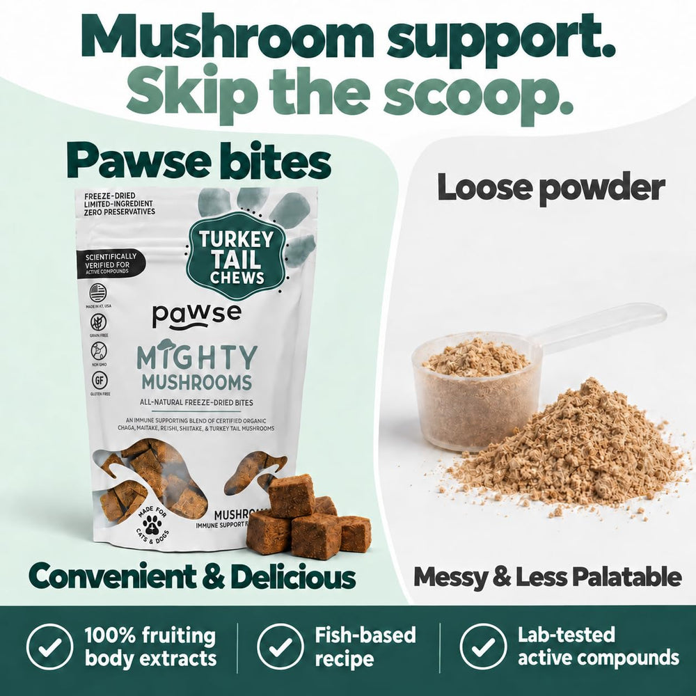 Pawse étiquette nutritionnelle lisible indiquant ingrédients et transparence