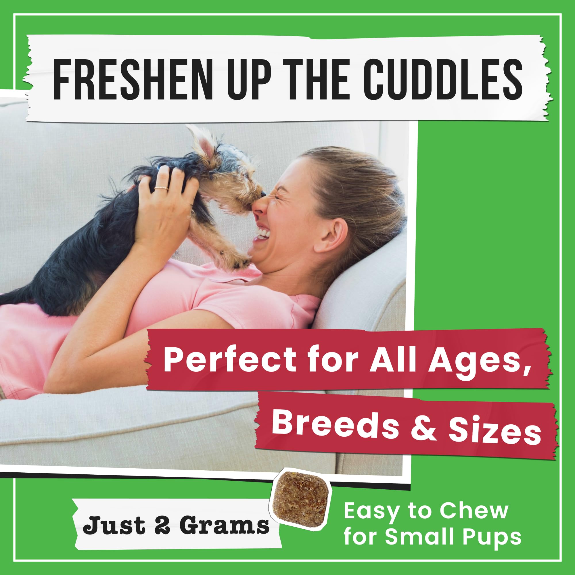 Pawsential chien mange friandise en extérieur pour usage quotidien