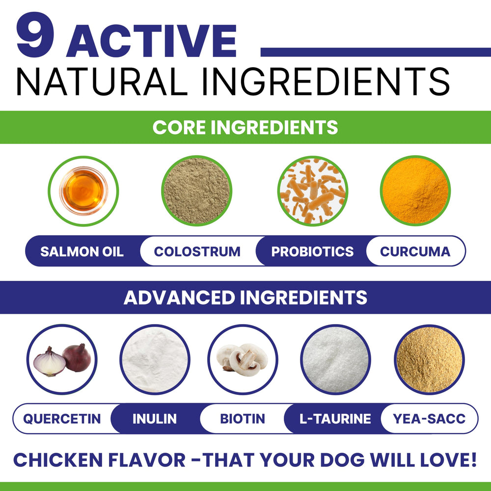 Pawsential chien mange la friandise montrant acceptation et soulagement potentiel