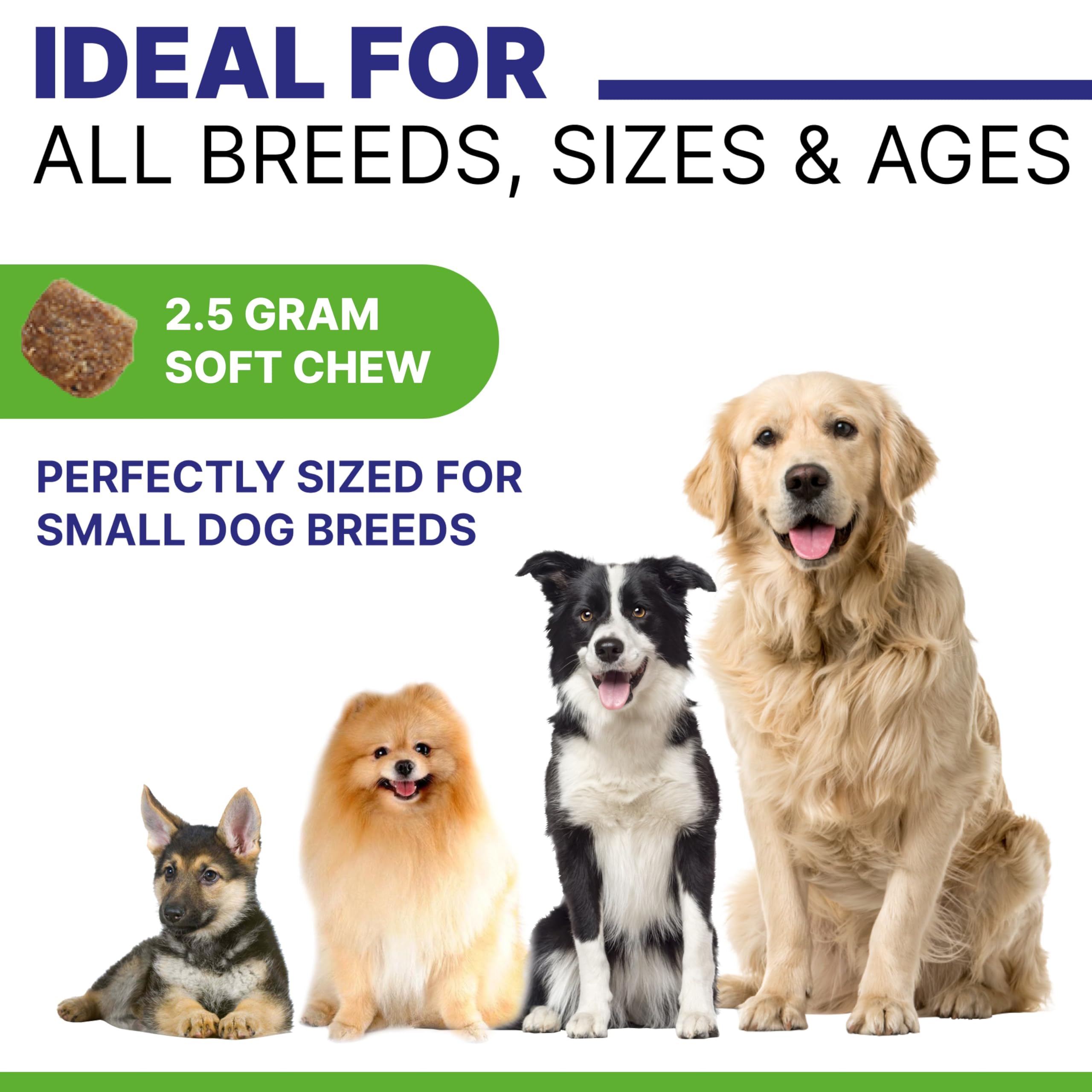 Pawsential étiquette ingrédients affichant oméga‑3 et probiotiques naturels