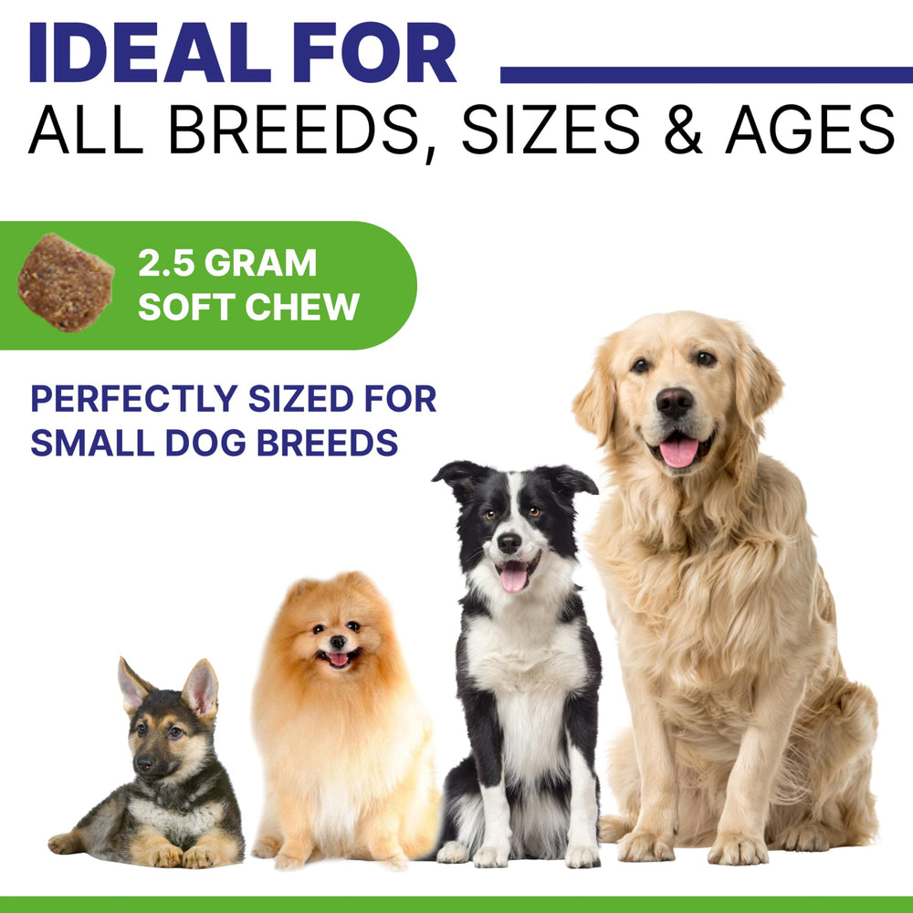 Pawsential étiquette ingrédients affichant oméga‑3 et probiotiques naturels