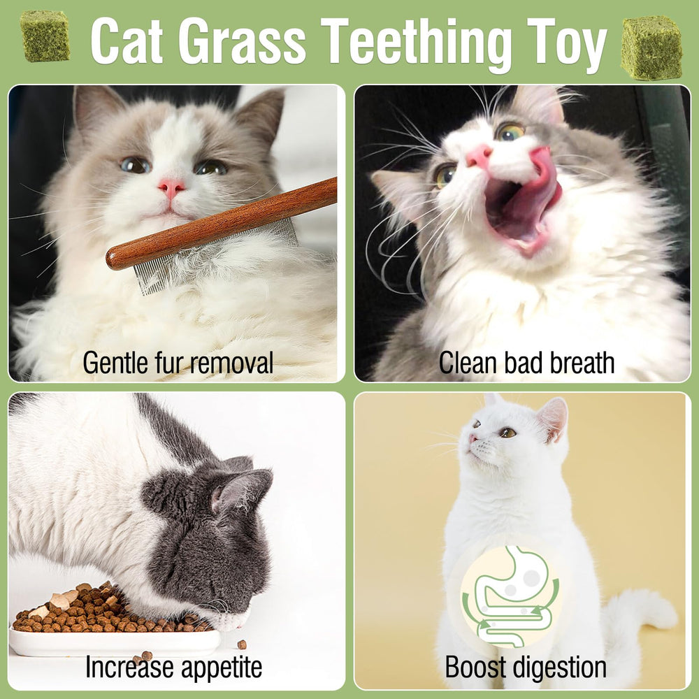 PawsGear jouet en usage avec chat mâchant pour réduire les boules de poils