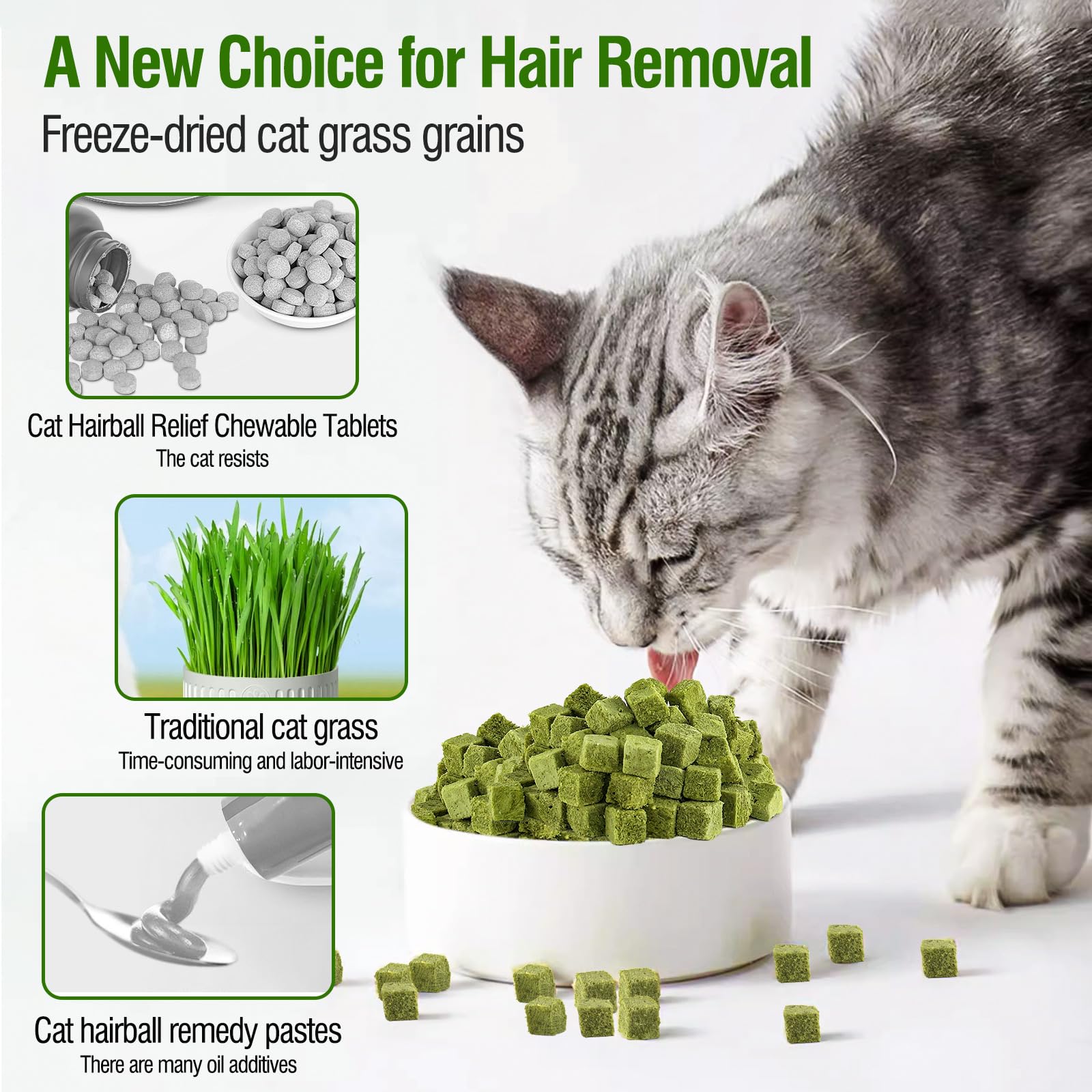 PawsGear sac ouvert montrant le contenu d'herbe à chat comestible