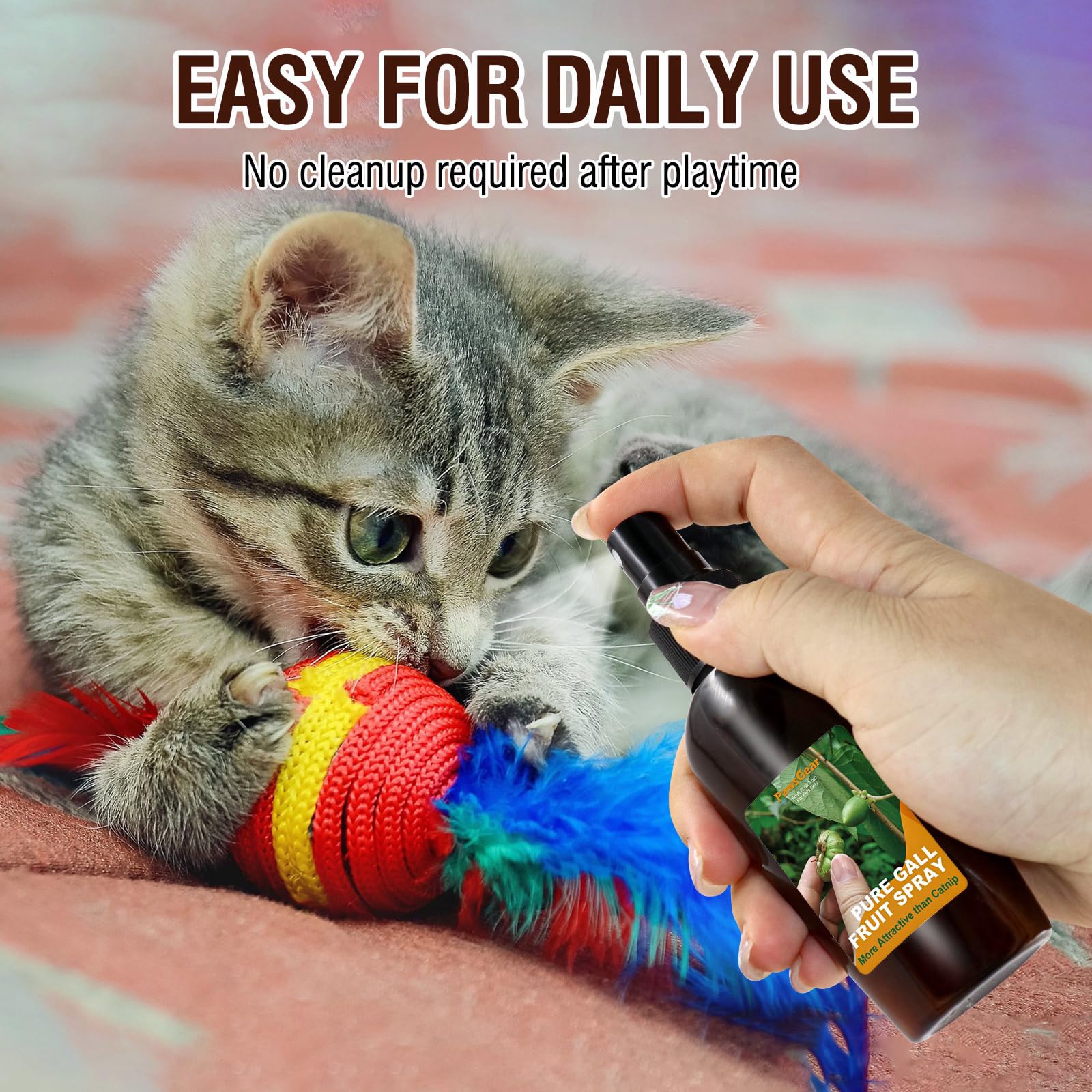 PawsGear scène de vie avec chat jouant, favorisant le jeu et la détente
