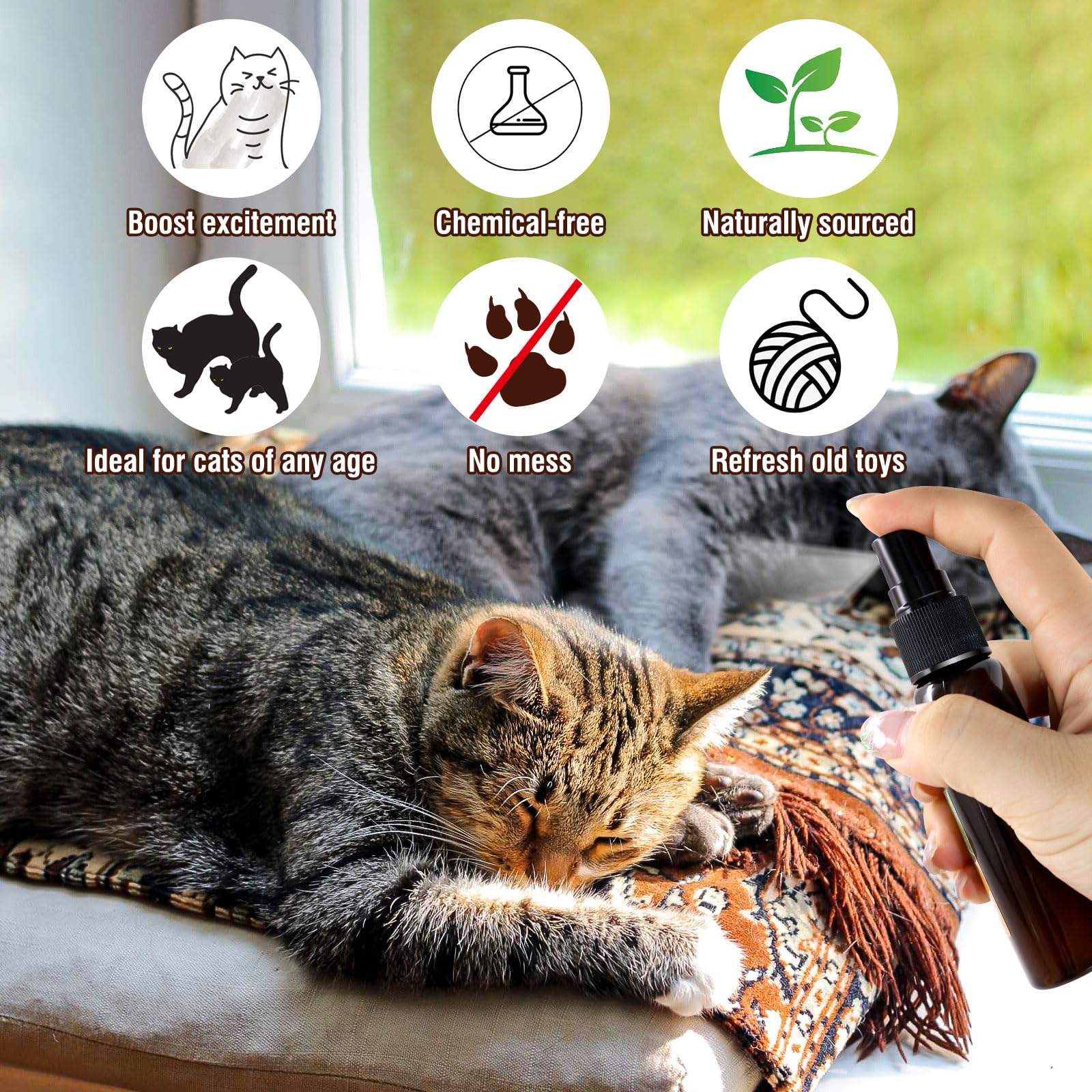 PawsGear texture du liquide naturel montrant la pureté de l'extrait de silvervine