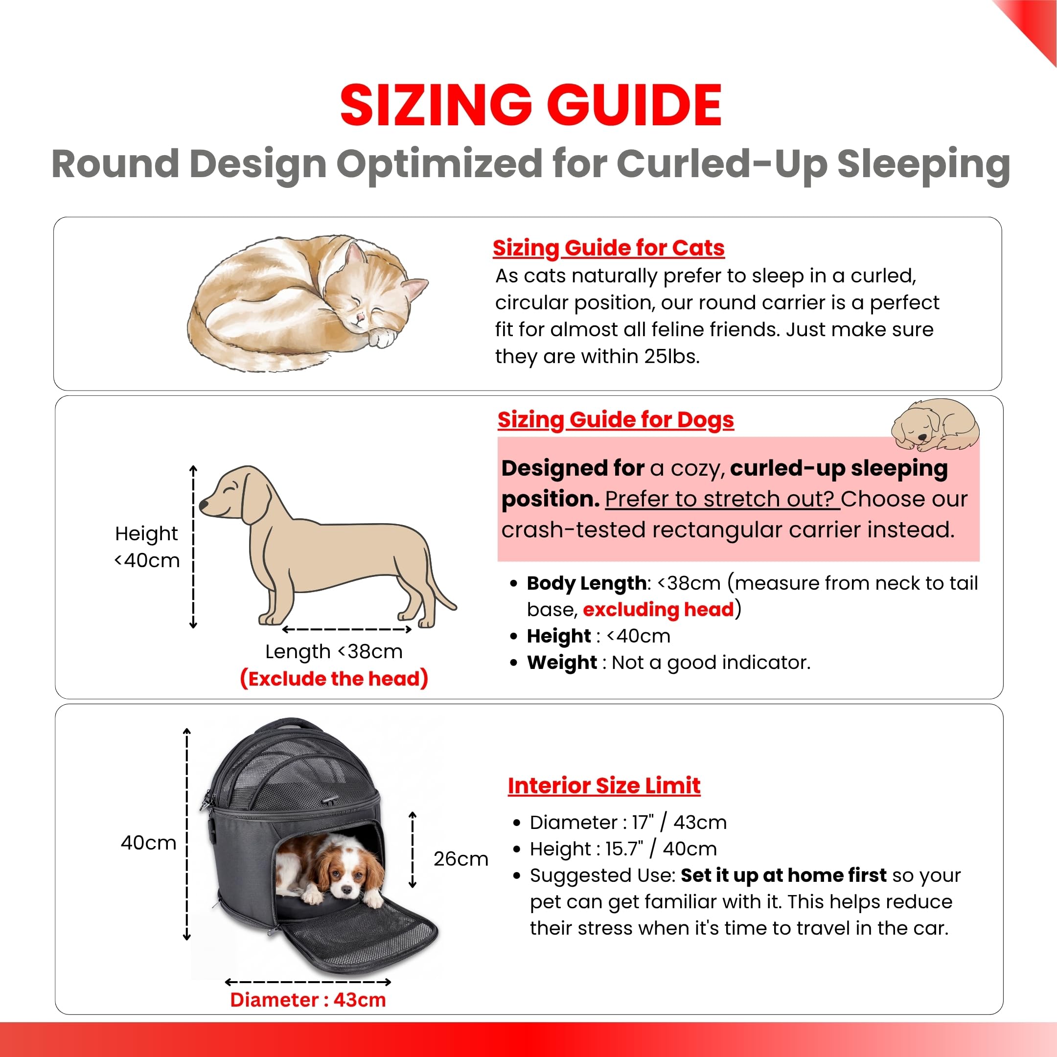 pawsincar comparaison taille avec petit chien pour repères