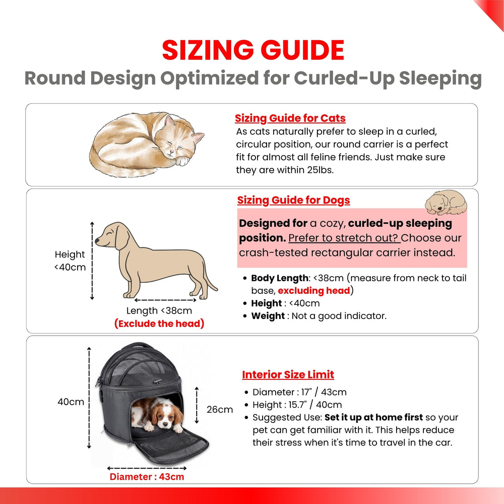 pawsincar comparaison taille avec petit chien pour repères
