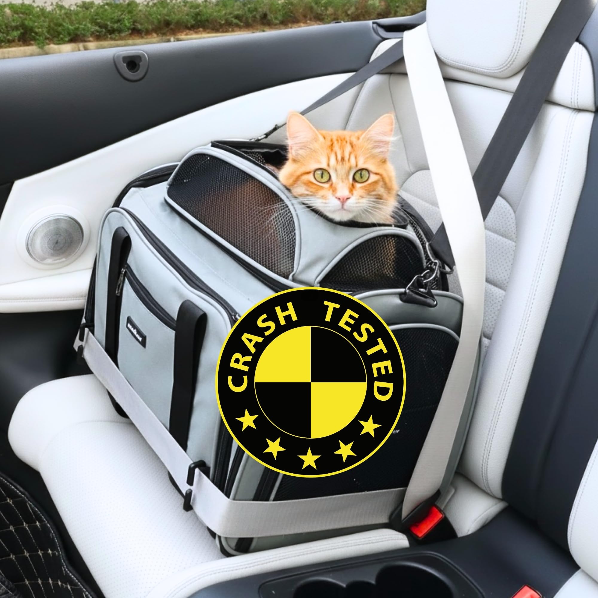 PawsInCar face avant montrant étiquette et fermeture, sécurité visible