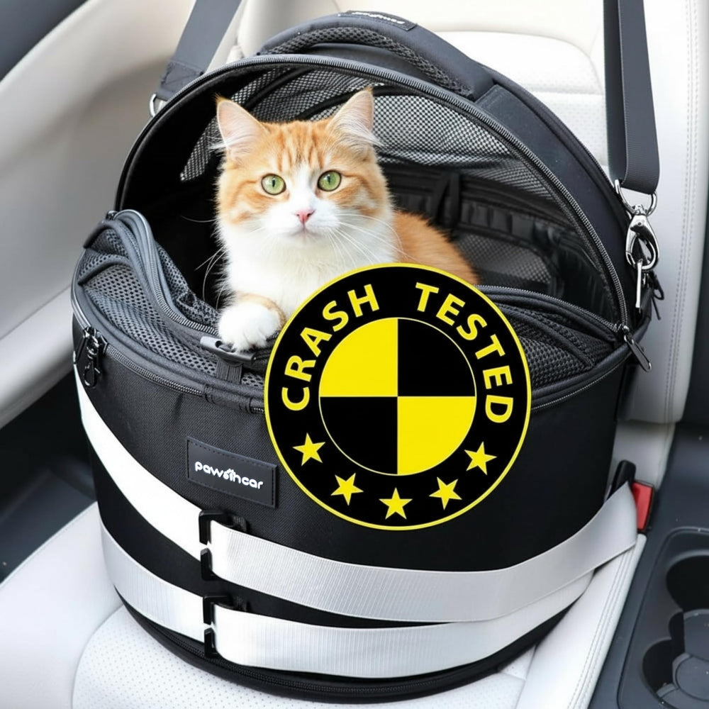 pawsincar vue avant du siège montrant la structure sécurisée