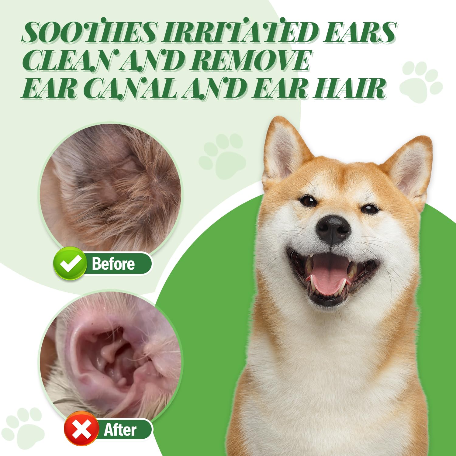 Pawsitive Vibes utilisation sur chien calme démontrant une séance d'entretien sereine