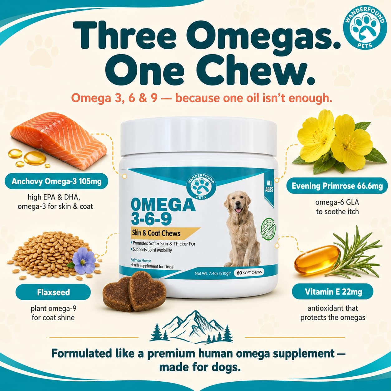 Pawsitive Wanderfound chew dans la main illustrant la taille et la posologie pratique