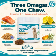 Pawsitive Wanderfound chew dans la main illustrant la taille et la posologie pratique