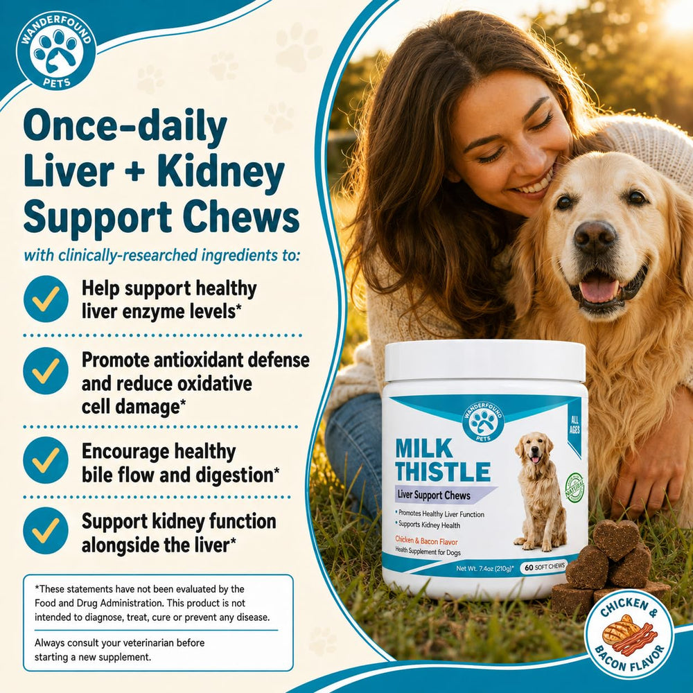 Pawsitive Wanderfound chien prenant friandise, acceptation élevée et appétence