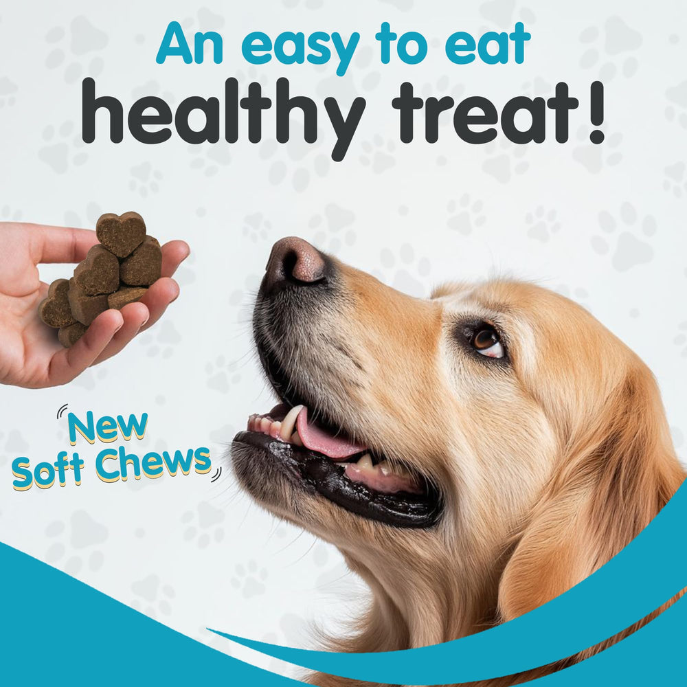 Pawsitive Wanderfound mise en scène cuisine sans odeur d'huile, usage propre