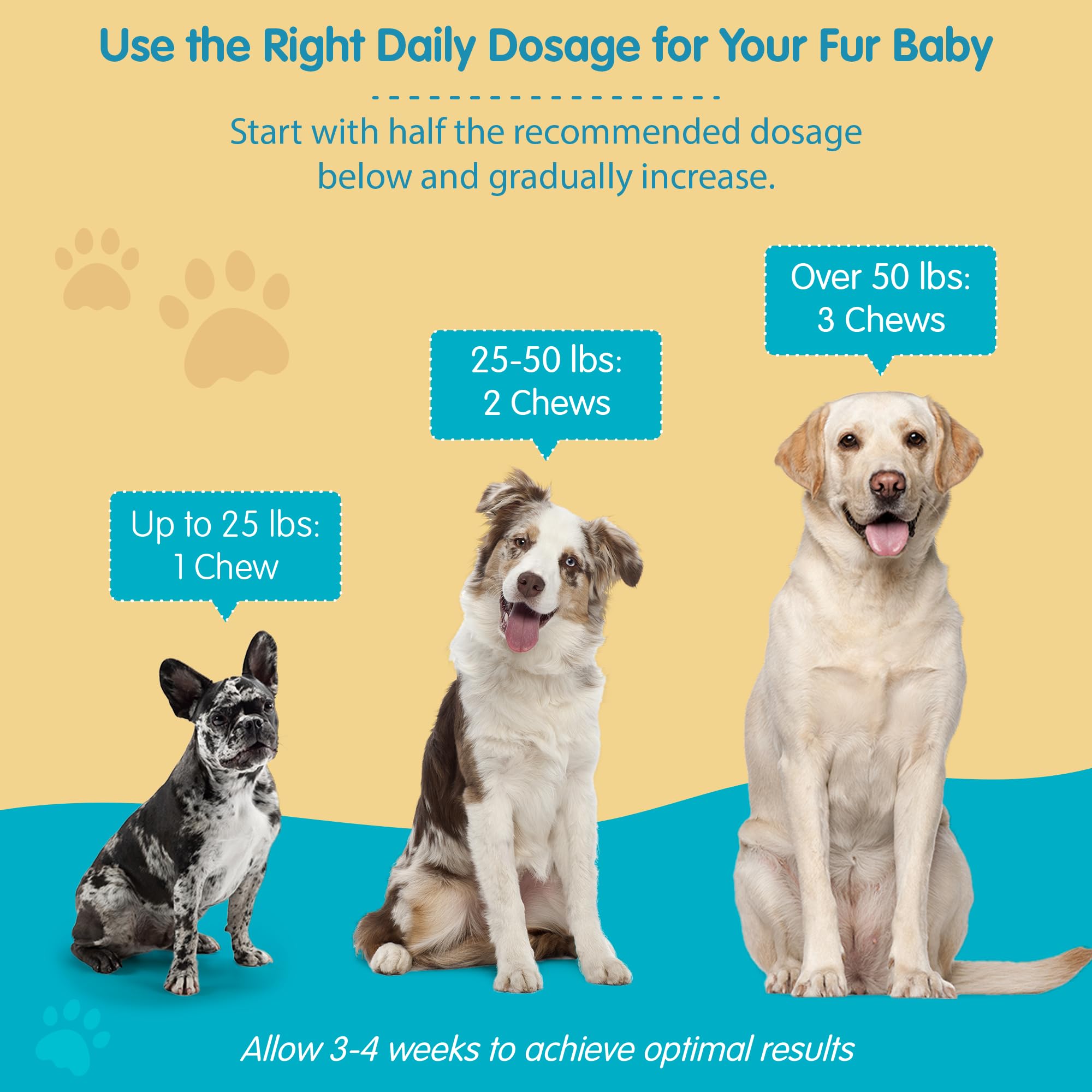 Pawsitive Wanderfound comparaison taille comprimé à une main, dosage clair