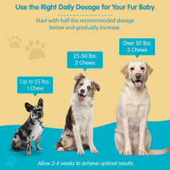 Pawsitive Wanderfound comparaison taille comprimé à une main, dosage clair