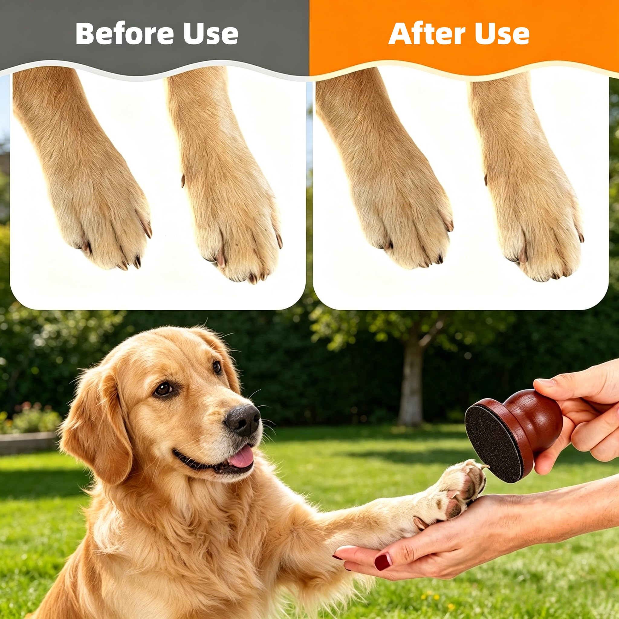 Pawsmooth texture de la planche en bois durable pour stabilité et confort
