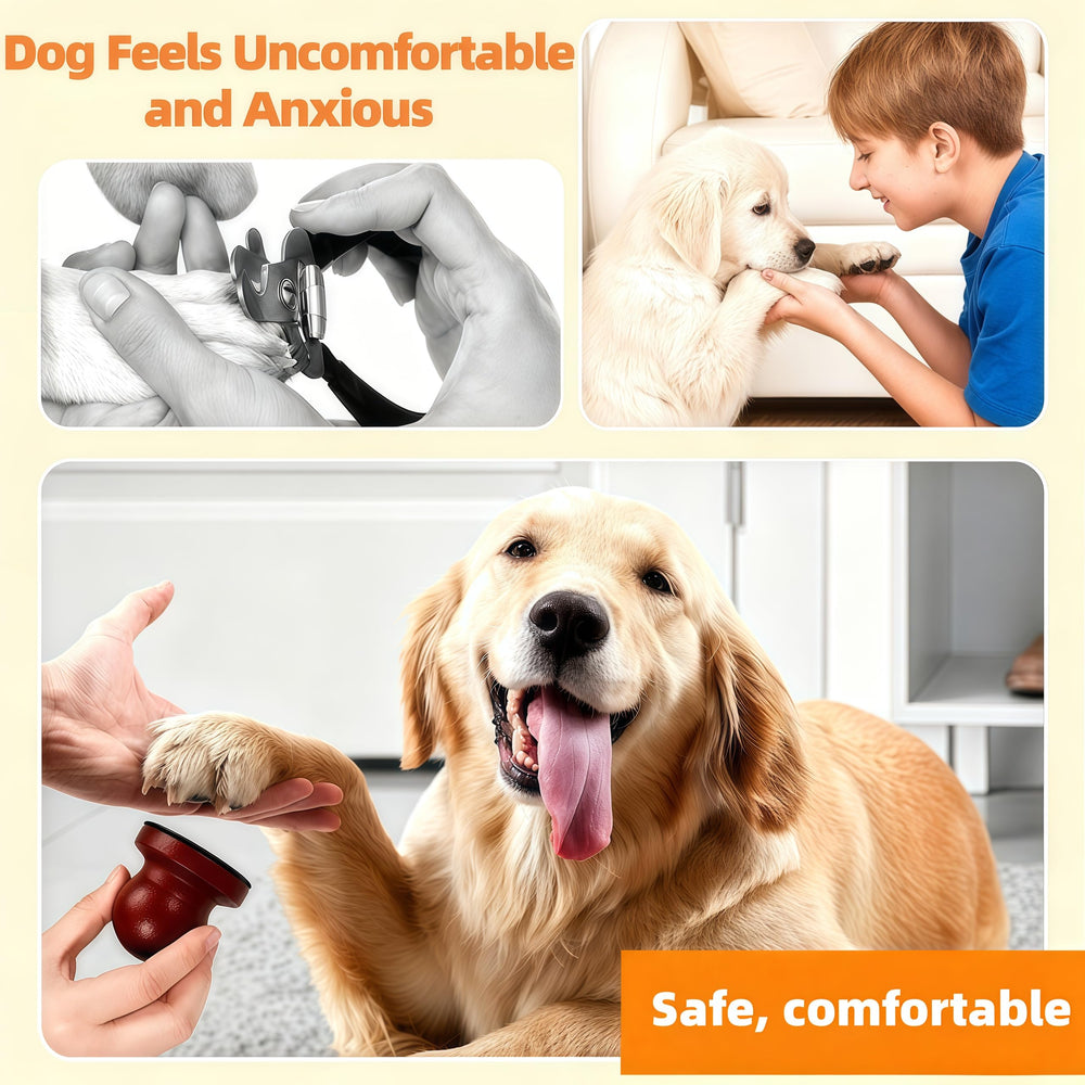 Pawsmooth en cours d'utilisation sur pattes de chien réduisant le stress