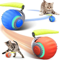 PawsomeFinds balle face avant montrant design et mouvement pour jeu actif