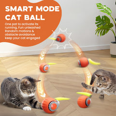 PawsomeFinds détail de la queue en plumes stimulant la chasse