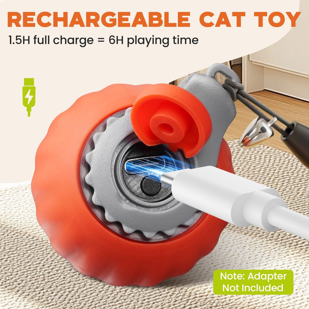 PawsomeFinds comparaison taille montrant échelle adaptée aux chats