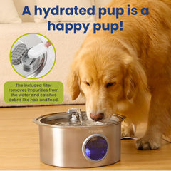 PAWSPIK acier inoxydable gros plan garantissant durabilité et propreté
