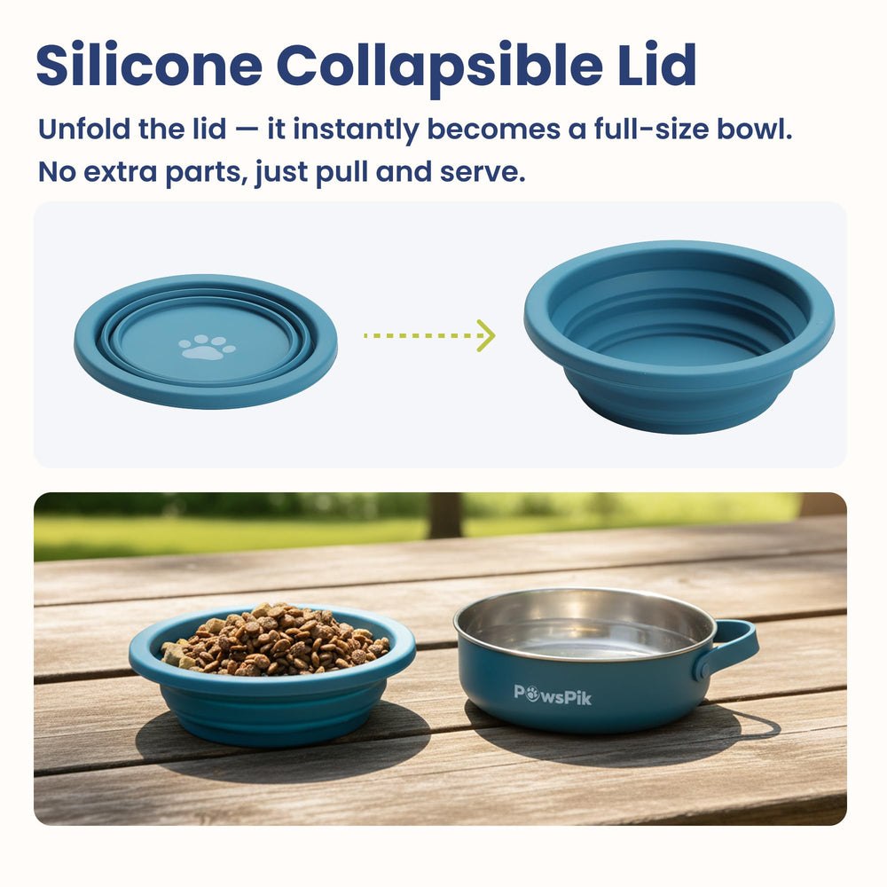 PawsPik base inox 18/8 montrant durabilité et résistance à la corrosion
