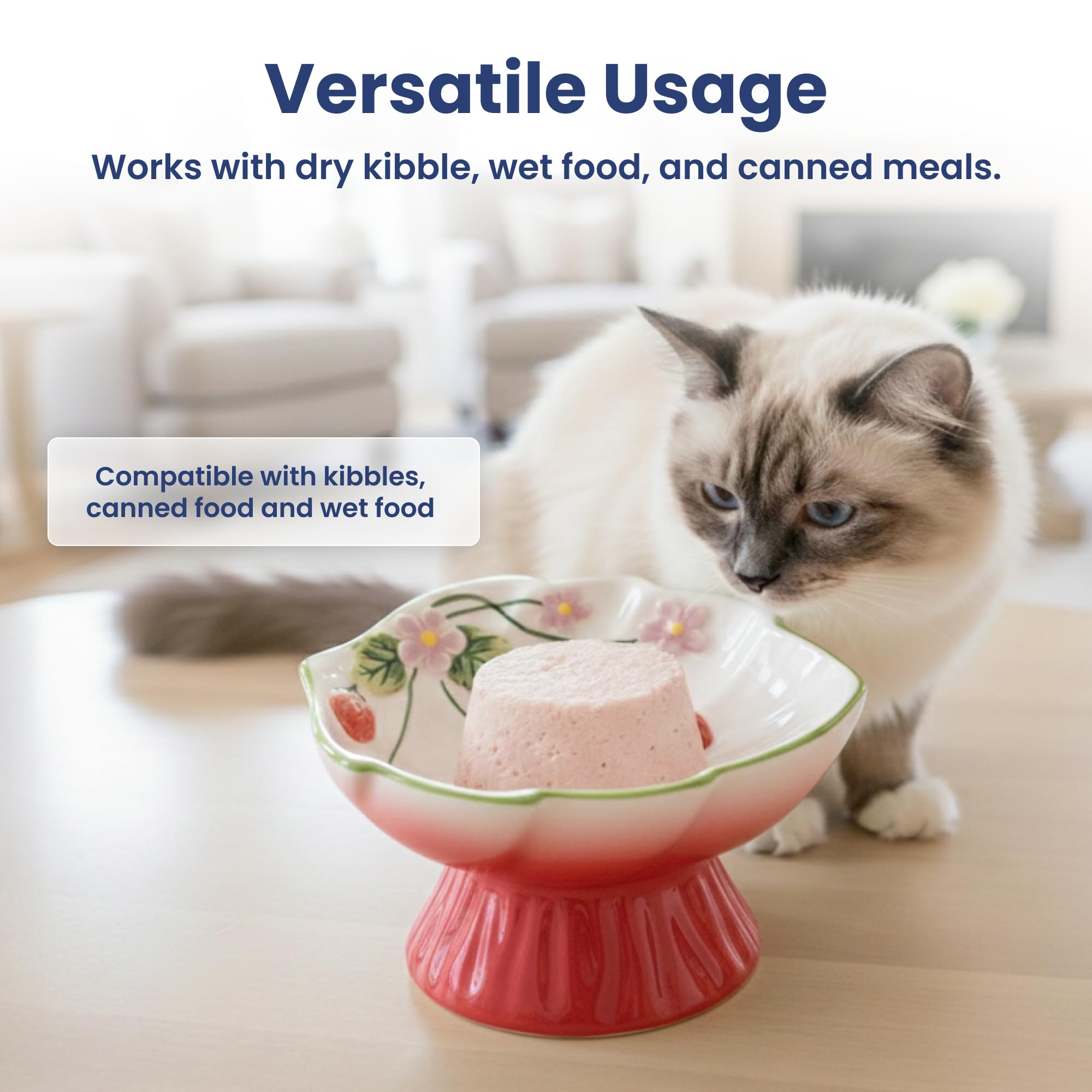 PAWSPIK gros plan céramique montrant glaçure durable et facile nettoyage
