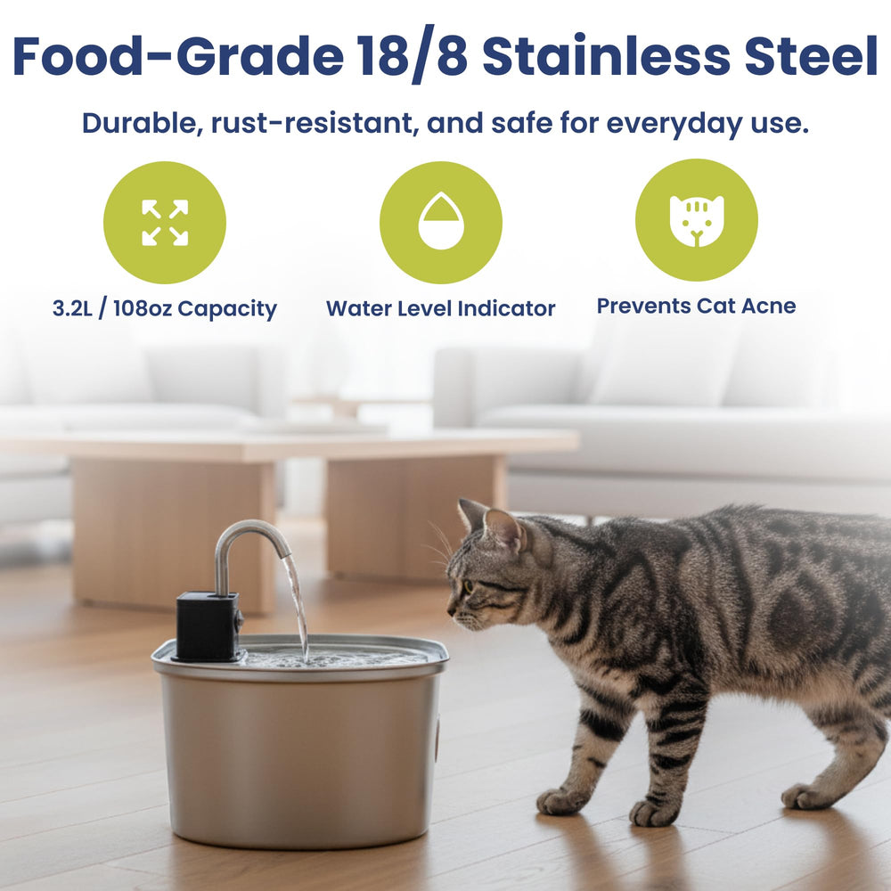 PawsPik bol détachable prêt pour lave-vaisselle, nettoyage simple et hygiénique