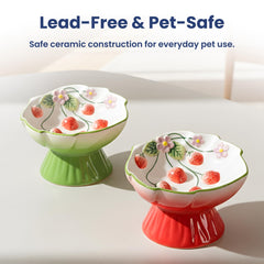 PAWSPIK bol motif fraises décoratif apportant charme et fonctionnalité