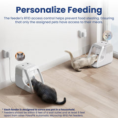 PawsPik intérieur montrant la capacité 16 tasses pour autonomie prolongée