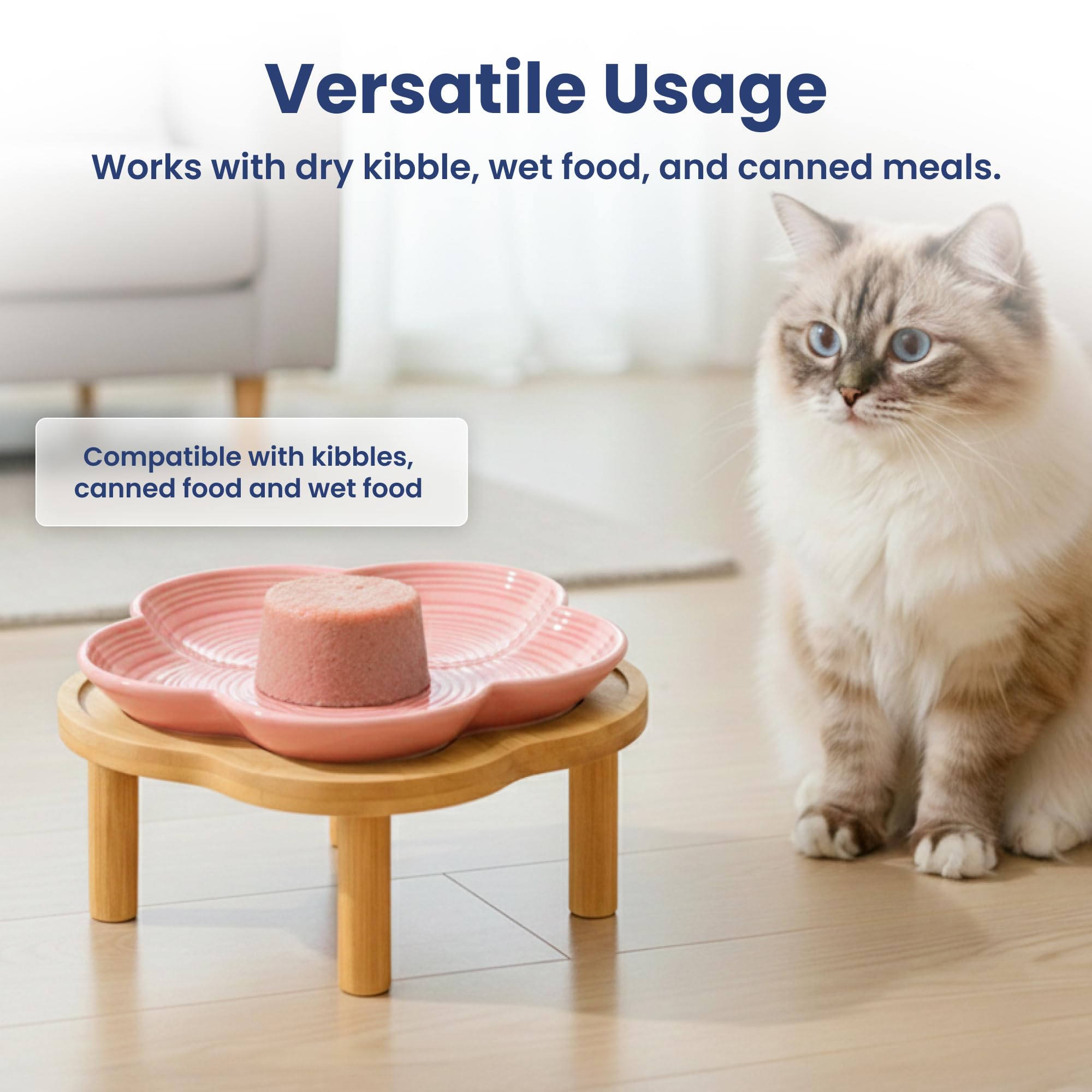 PAWSPIK comparaison taille avec main illustre dimensions pratiques
