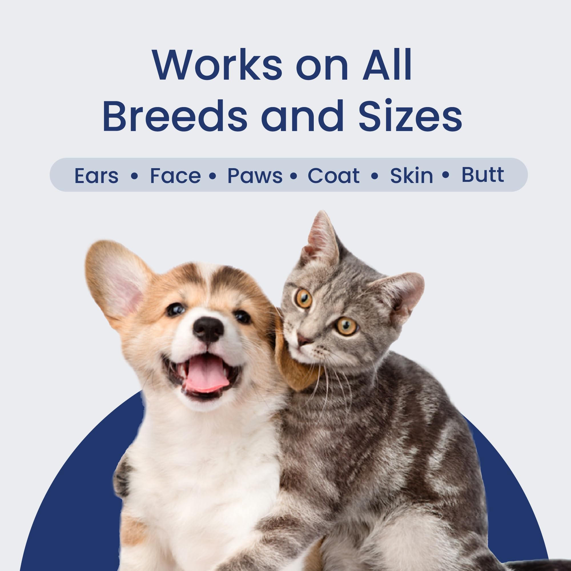 PawsPik comparaison taille dans une main pour évaluer dimensions