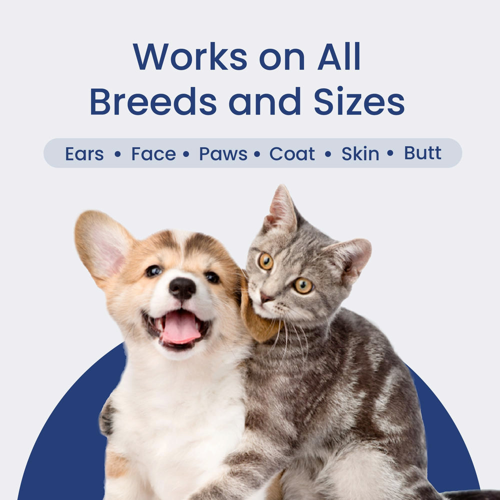 PawsPik comparaison taille dans une main pour évaluer dimensions