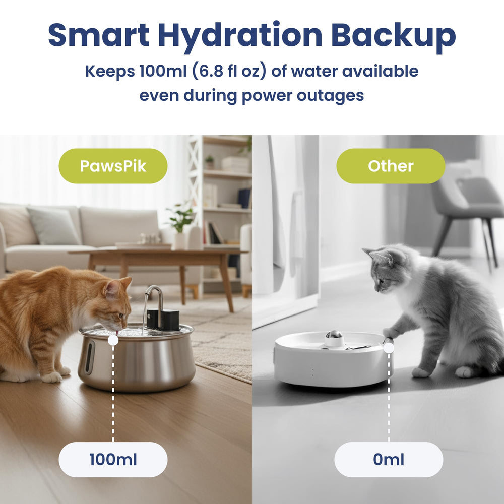 PawsPik comparaison taille montre capacité 4 L et proportions