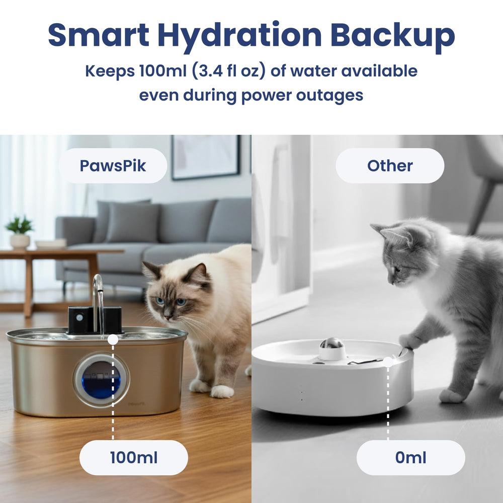 PawsPik capteur de mouvement détaillé, activation automatique à l'approche
