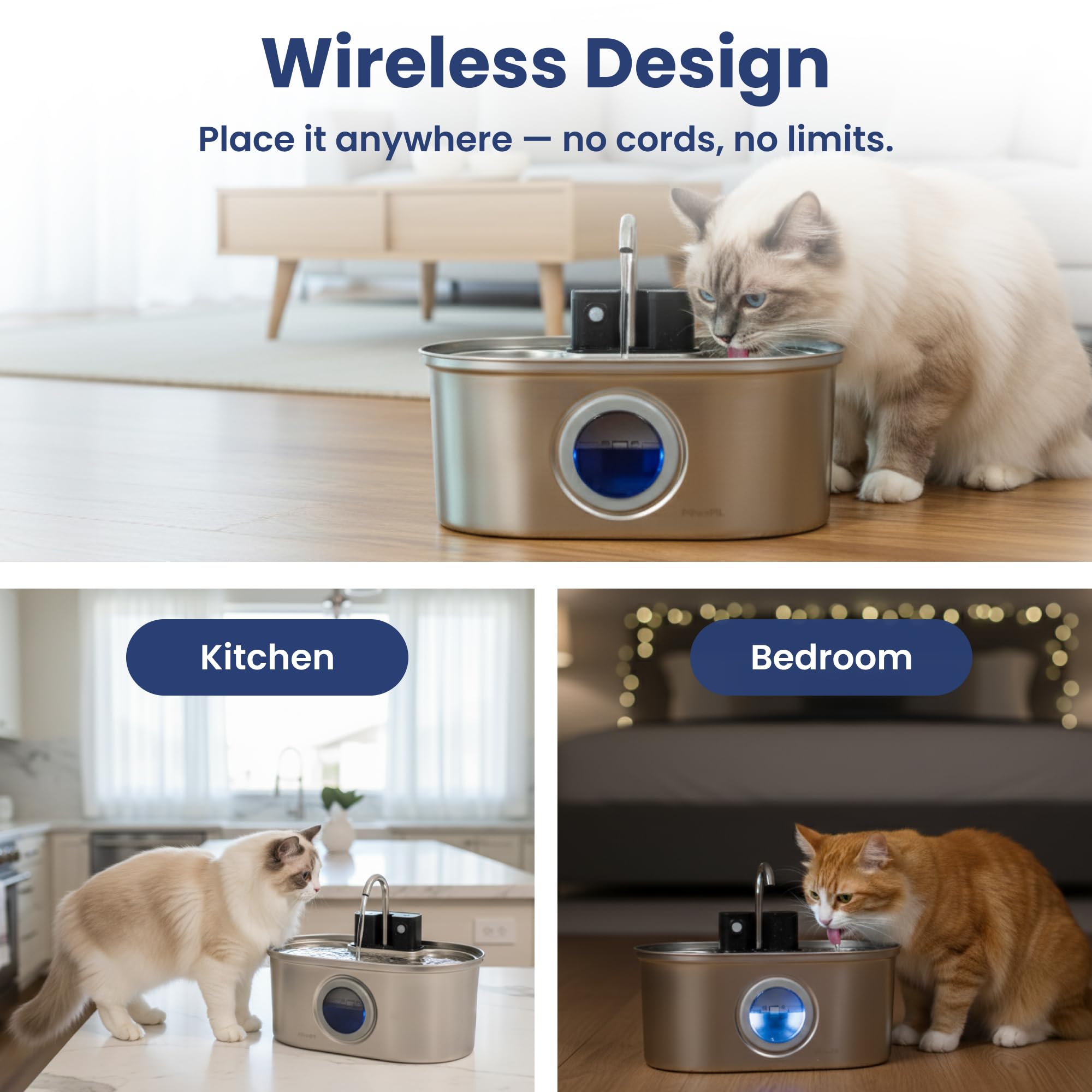 PawsPik comparaison d'échelle avec bouteille 1 L, montre capacité 3,2 L