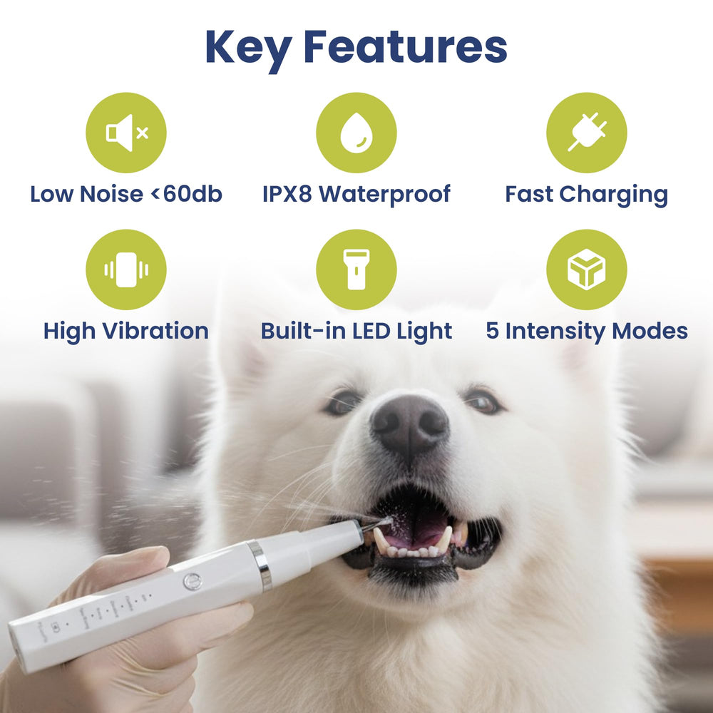 PAWSPIK embouts et accessoires posés, facilités pour soin dentaire complet